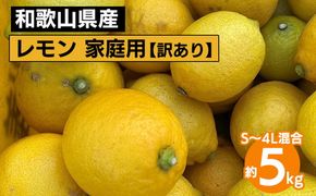 【先行予約】【訳あり・ご家庭用】和歌山県産 レモン 約5kg S～4Lサイズ混合 柑橘
