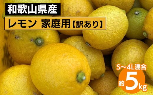 【先行予約】【訳あり・ご家庭用】和歌山県産 レモン 約5kg S～4Lサイズ混合 柑橘