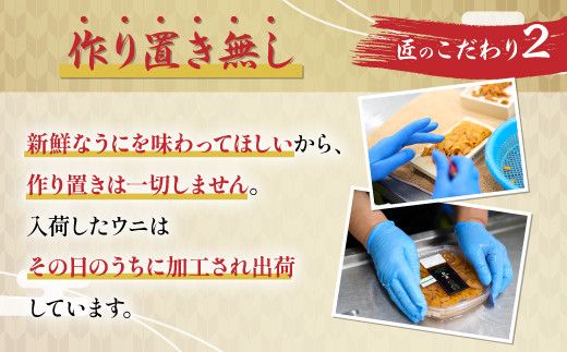 【ミョウバン不使用】無添加 エゾバフンウニ 塩水パック 100g｜濃厚な甘み 鮮度抜群 生うに 雲丹 高級 おつまみ ふるさと納税 北海道 登別市
