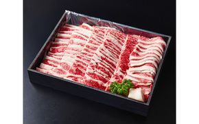 A5等級　未経産雌限定　近江牛カルビ焼肉　700g【FO08W】（国産牛　和牛　ブランド牛　ブランド和牛　黒毛和牛　牛肉　肉　高級　人気　おすすめ　神戸牛　松阪牛 に並ぶ 日本三大和牛 近江牛）
