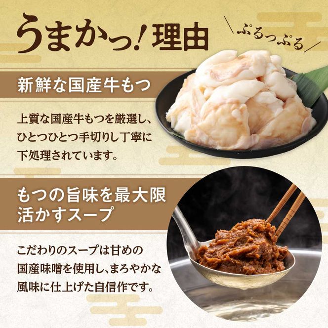【一週間以内に発送】【国産もつ2倍 600g】博多もつ鍋 味噌味（3人前）セット【海千】_HA0587