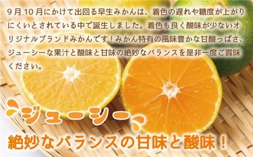 みかん 早味かん 約 4kg 【期間限定発送】 [南国フルーツ 福岡県 宇美町 um40azo970031] 先行予約 福岡県産 ミカン 早生みかん 早生ミカン フルーツ 果物 くだもの 果実 甘い あまい
