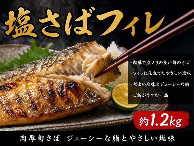 〈毎月定期便〉【ご家庭用訳あり】人気の塩さばフィレ&紅鮭切身セット計2kg 全3回
