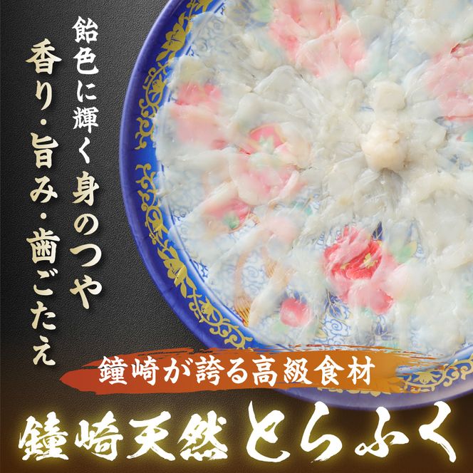 漁師お勧め！天然 とらふぐ てっさ（お刺身セット）2～3人前【宗像漁協】_HA0467