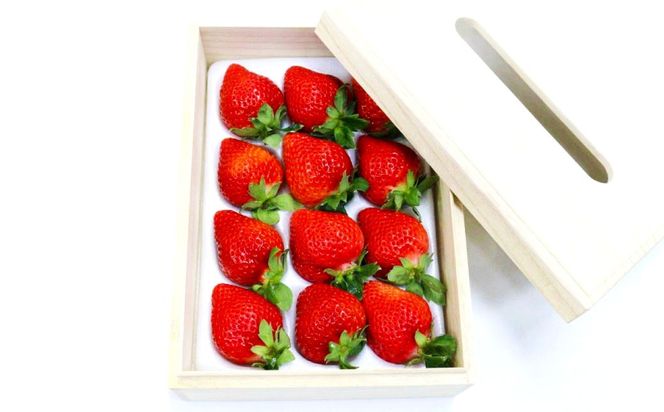 【2026年2月上旬～4月上旬発送予定】ティッシュボックス用特別仕様の桐箱入りプレミアムあまおう あまおう EX 約400gｘ1パック ギフト お祝い 贈答用 苺 いちご