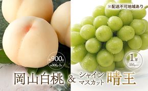 桃 ぶどう 2026年 先行予約 白桃 3玉 合計約900g （1玉約300g） シャインマスカット 晴王 1房 550g以上 もも 葡萄 詰合せ 岡山 国産 フルーツ 果物 ギフト 桃茂実苑