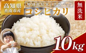 無洗米 高知県香南市産 特別栽培米 真空パック コシヒカリ 10kg - 国産 米 お米 おこめ こしひかり 白米 ごはん おにぎり おむすび ご飯 農業公社 高知県 香南市 常温 nu-0004