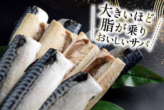 訳あり トロ塩サバ フィレ LLサイズ 3kg ★フィレ1枚230g超え！[足利本店 宮城県 気仙沼市 20565620] 魚介類 魚 海鮮 鮮魚 サバ さば 鯖 サバフィレ サバフィーレ 鯖フィレ トロサバ 訳アリ わけあり 切り身 冷凍