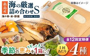 【全12回定期便】糸島産 魚 米 野菜 果物 厳選詰め合わせ MINORI BOX Sサイズ 糸島市 / emma.Inc / 米 魚 野菜 詰め合わせ[AOP022]
