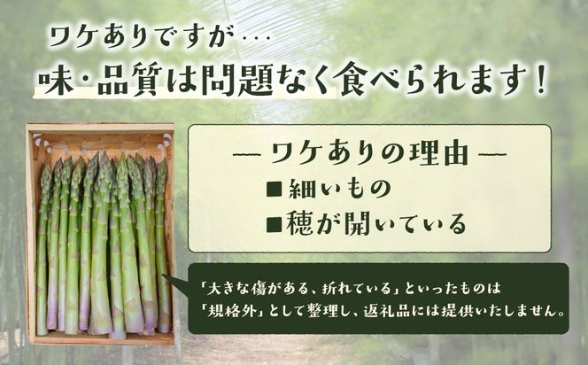 ＜先行予約＞【訳あり品】あまーい！北海道産夏アスパラ 4kg【ffk-008】北海道 伊達市 野菜 新鮮 アスパラガス ふるさと納税 送料無料