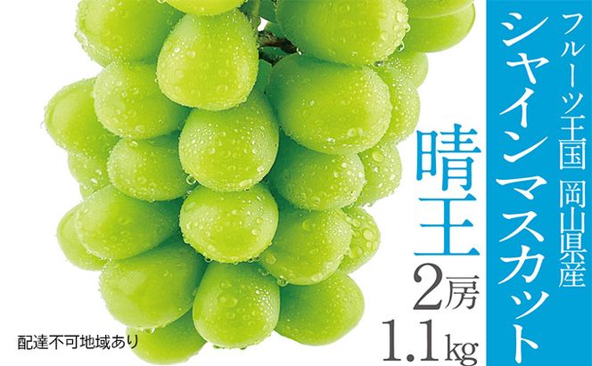 ぶどう 2026年 先行予約 シャイン マスカット 晴王 2房（合計約1.1kg） 晴れの国 おかやま 岡山県産 フルーツ王国 果物王国 