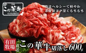 有田牧場直送 この華牛切落したっぷり600g _K20_0002_5