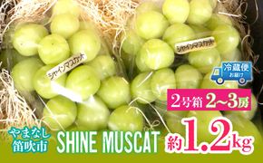 ＜25年発送先行予約＞シャインマスカット2号箱　約1.2kg（2～3房入） 214-001