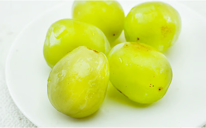 ぶどう 2026年 先行予約 マスカット・オブ・アレキサンドリア 1房 700g以上 化粧箱入り マスカット 岡山県産 国産 フルーツ 果物 ギフト 食後 デザート 上品な香り 果物の女王 さっぱり 爽やか [№5735-1460]