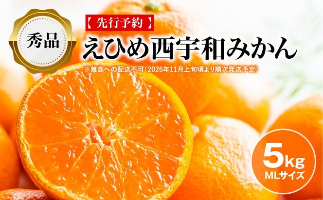 【先行予約】【秀品】えひめ西宇和みかん 5kg（MLサイズ）※離島への配送不可（2026年11月上旬頃より順次発送予定） IKTAR001