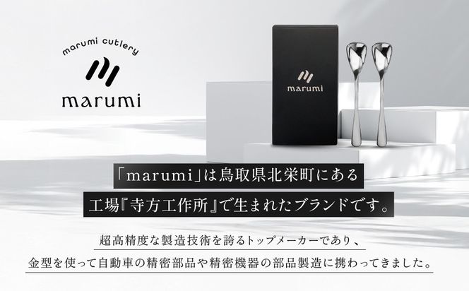 marumiカトラリー デザートスプーン 2本　創業80年 精密加工メーカーの技術から生まれた1本 313726_BX001