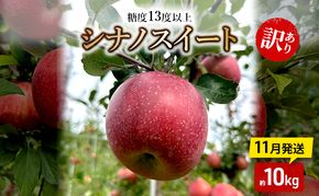 りんご【11月発送】糖度13度以上 訳あり 家庭用 シナノスイート 約10kg【青森りんご】