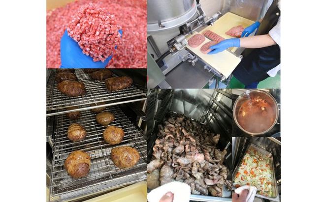 北海道 十勝牛 大地の煮込みハンバーグ230g×5パック 野菜入り お手軽レンチン【 セット 牛100% 国産牛 牛肉 ハンバーグ 惣菜 小分け 冷凍 牛肉100% 大きい レンジ 簡単 国産 北海道 十勝 幕別 ふるさと納税 送料無料 】 