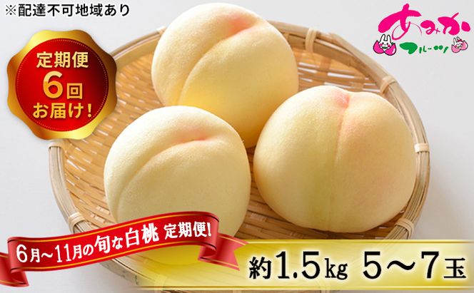 桃 定期便 2026年 先行予約 6月～11月 の旬な 白桃 定期便！約1.5kg 5～7玉 6回お届け！ もも モモ 岡山県 赤磐市産 国産 フルーツ 果物 ギフト あみかフルーツ 柔らかい ジューシー 少し固め 甘み 