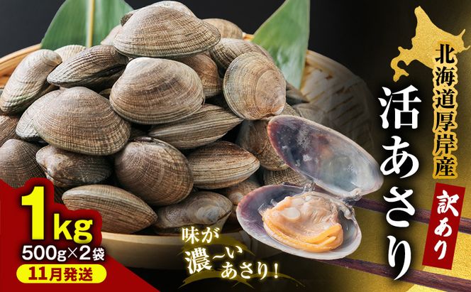 11月発送 北海道 厚岸産 訳あり 活あさり 500g×2 (合計1kg) アサリ 魚貝 海鮮 大粒 美味しい 栄養 旨み 砂出し 水洗い 冷蔵 冷凍保存可能 便利