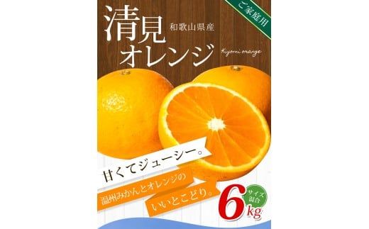 【ご家庭用】手選別 清見オレンジ 約6kg 和歌山県産 2S~2Lサイズ混合※2026年2月上旬～5月中旬頃に順次発送【mrmt038A】