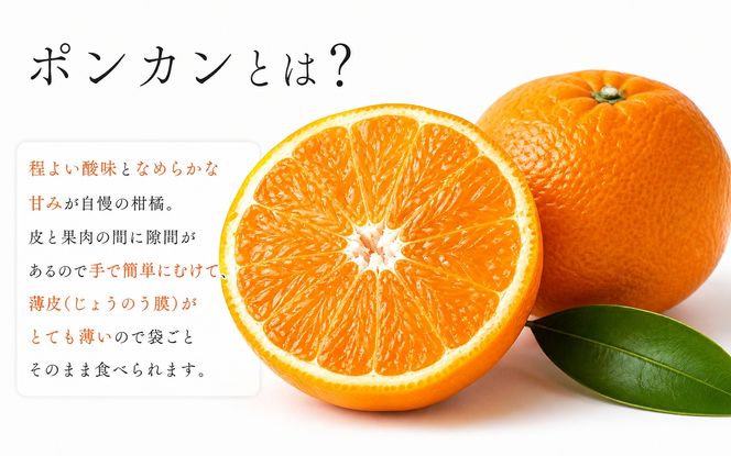 "紀州和歌山有田産ポンカン　5㎏※2027年1月下旬頃〜2027年2月上旬頃に順次発送（お届け日指定不可）【uot722A】"