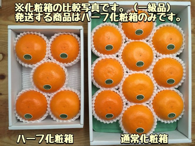 ［2箱セット］ハーフ 化粧箱 柑橘の大トロ ハウス せとか 厳選 5玉入 × 2箱 南泰園	BS151