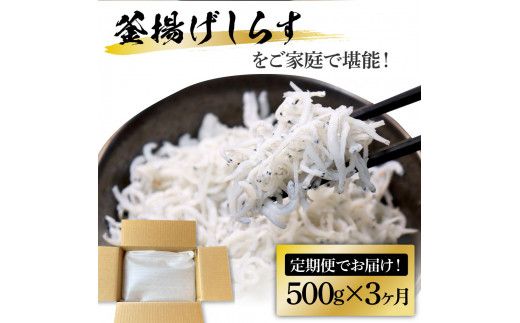 【CF-R7hbk】t206kgp　《3ヶ月定期便》高知県産釜揚げしらす500g 定期便 定期コース 3回 簡易梱包 シラス 小分け 国産 釜揚げ しらす丼 海鮮丼 お茶漬け ごはん 軍艦巻き 冷凍配送 おかず おつまみ お楽しみ