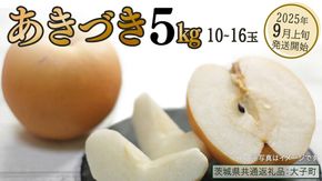 あきづき 約5kg (10～16個)【2025年9月上旬発送開始】(茨城県共通返礼品：大子町) 秋月 梨 なし 果物 くだもの フルーツ	