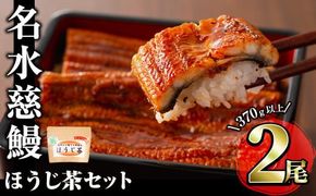 名水慈鰻2尾＆ほうじ茶セット 名水慈鰻(185g以上×2尾)＆ほうじ茶ティーバッグ(3g×15個) a8-084