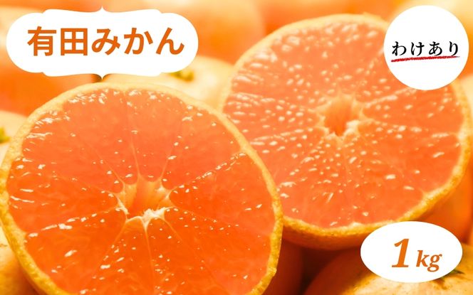 和歌山県産 有田みかん 1kg 訳あり【ミカン 有田みかん 和歌山 有田 訳あり】 ※2026年10月中旬～2027年1月中旬頃に順次発送予定【smt002A】