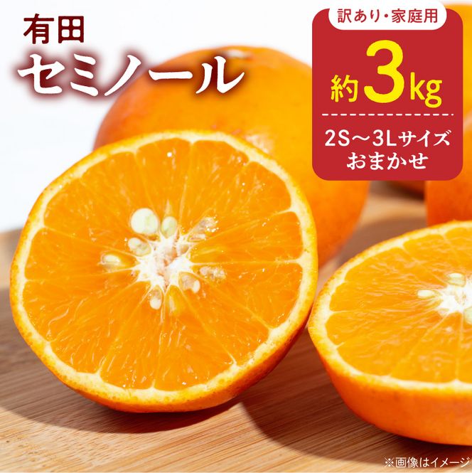 DZ6224_訳あり 家庭用 きよみ 清見オレンジ 和歌山 有田 2S～3Lサイズ混合 3kg