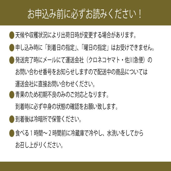 【定期便 全2回】ぶどう 2026年 先行予約 9月・10月発送 高級品 シャインマスカット 晴王 2房 合計約1.4kg ブドウ 葡萄 岡山県産 国産 フルーツ 果物 ギフト