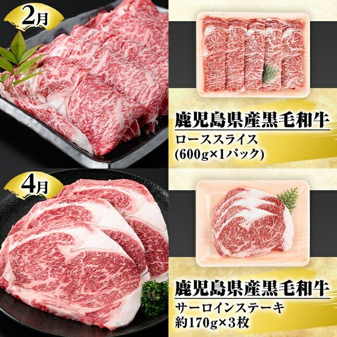 ＜定期便・全6回(偶数月)＞鹿児島県産黒毛和牛・黒豚定期便(総量約5.2kg)国産 九州産 鹿児島産 牛肉 国産牛 豚肉 サーロイン ステーキ 切り落とし 切落し カルビ 焼肉 焼き肉 焼肉セット 黒豚 バラ肉 すき焼き しゃぶしゃぶ 頒布会【スターゼン】akn042-28