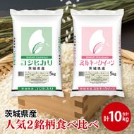 【人気2銘柄食べ比べ】令和7年産 茨城県産 コシヒカリ・ミルキークイーン　5kg×各1袋（計10kg）【お米 米 コメ こめ たべくらべ 35000円以内】(AL171)