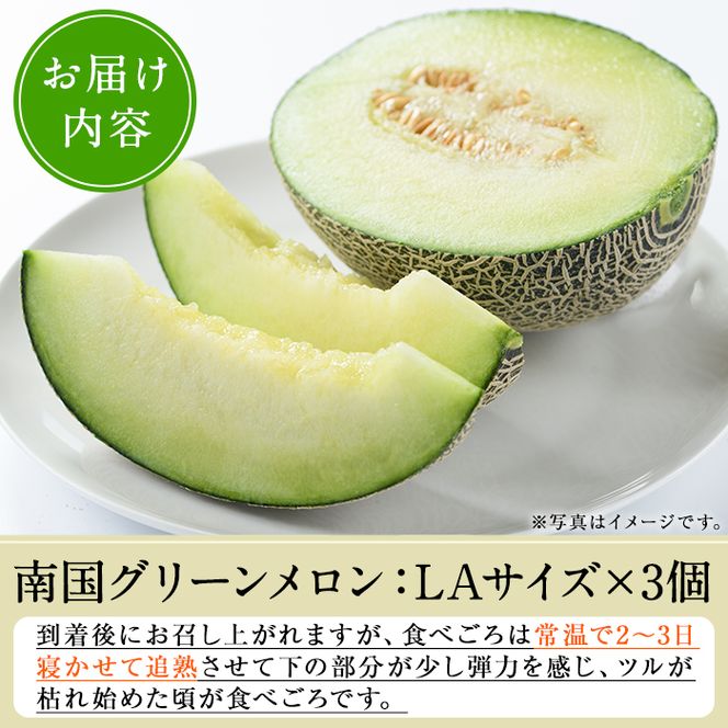 ＜先行予約受付中！2026年6月中旬以降順次発送予定＞数量限定！鹿児島県産南国グリーンメロン(LAサイズ×3個) メロン フルーツ 果物 鹿児島 国産 青肉 期間限定 LA【東新グリーンファーム合同会社】akn062-09