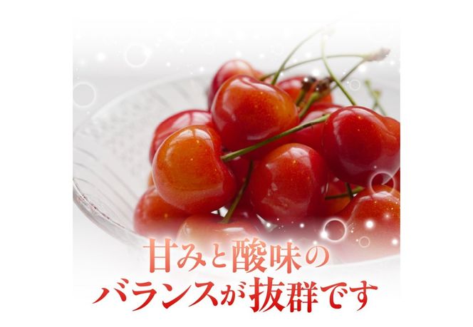 【2026年発送】【数量限定】【期間限定】山梨県産 紅秀峰 さくらんぼ （選べる容量 500g / 1kg ） バラ詰め サクランボ 大粒 山梨県産 フルーツ 果物 産地直送 山梨 富士吉田