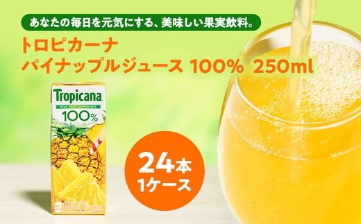 トロピカーナ 100% パインアップル 250ml LLスリム ×24本