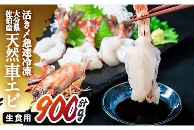 y啪szVR YԃGr Hp (v900gE300g×3) Gr CV ԊCV Ⓚ hg  VՂ  o[xL[ Y 啪Y 啪 s ܂n yDL19zyߌHoفz