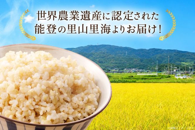 米 令和8年 コシヒカリ 玄米 30kg [農家にしの 石川県 宝達志水町 38601434] こしひかり お米 おこめ こめ コメ kome 玄米 ごはん ご飯 令和8年産 新米 げんまい