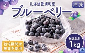 栽培期間中農薬不使用冷凍ブルーベリー　無選別品　1kg TYUS025