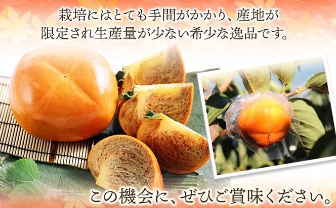 希少 紀の川柿 約1.8kg (種無し) 秀選品 (玉数おまかせ) 厳選館 【先行予約】《2026年10月中旬-11月末頃出荷》 和歌山県 日高町 柿 カキ かき ジューシー フルーツ---wsh_gsk166_10j11j_25_13000_2kg---