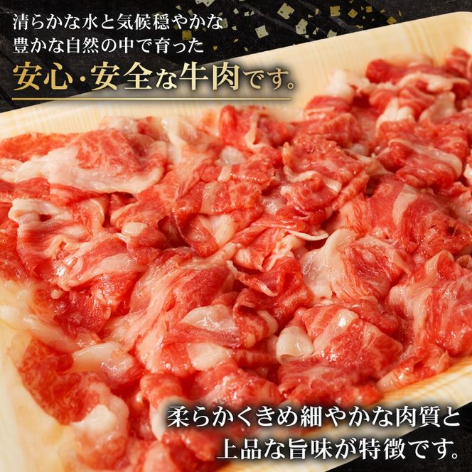 【6回定期便】 黒毛和牛 切り落とし 320g×2 A4 A5 ランク 肉 お肉 和牛 牛 人気 国産 定期便 静岡県 藤枝市