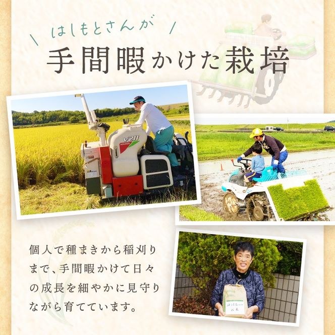 ☆先行予約☆【新米 令和7年産 2025年11月より順次発送】はしもとさんちのお米(5kg)《 お米 米 ヒノヒカリ 精米 お米5kg お米5キロ ごはん ご飯 》【2501B14301】