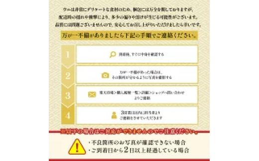 極上 エゾバフンウニ 折詰 100g | エゾバフンウニ 折り詰め うに 高級 ウニ 雲丹 生ウニ エゾバフンウニ 人気 ふるさと納税 北海道 登別市
