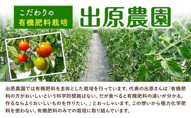 ミニトマト 約2kg 出原農園 《1月上旬-5月末頃出荷》 岡山県 矢掛町 野菜 ミニトマト もぎたて 新鮮---osy_iktmt_af15_24_14000_2---