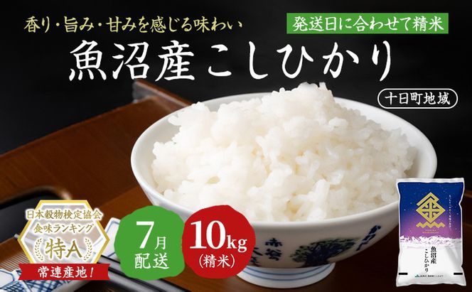 【令和7年産米】魚沼産こしひかり(十日町地域) 精米 10kg(5kg×2) 7月配送 お米 精米 こめ ご飯 白米 旧：五郎兵衛