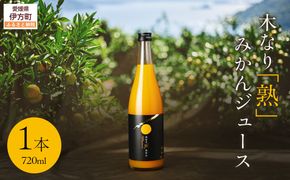 木なり「熟」みかんジュース（720ml×1本） IKTE009
