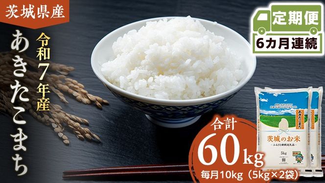 y錧}szy  6 z 錧Y ܂ 10kg ( 5kg × 2 )   R  錧  V  [DK015ci]