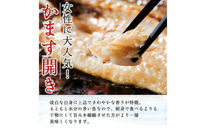 ＜定期便・全4回＞ギフト用品質！九州産 ひもの 季節の 定期便 (総計35枚) 定期 干物 鯛 かます さば サバ あじ アジ 開き 魚 海鮮 冷凍 ひもの 小分け 惣菜 おかず セット ギフト 贈り物 大分県 佐伯市【DH301】【ネクサ】